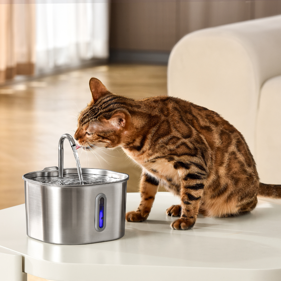 The Kittypure™ - 2.2L Fountain 2–month Kit