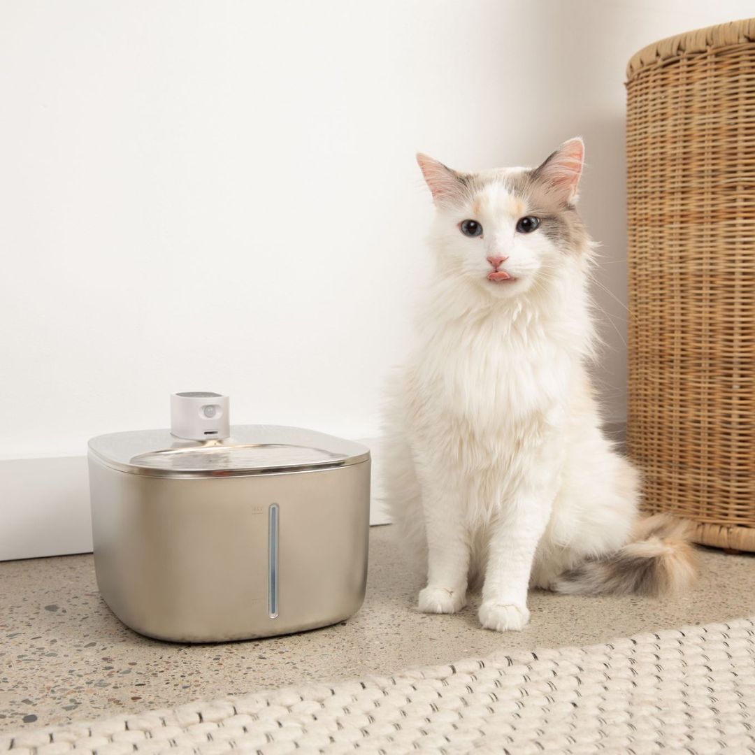 The Kittypure™ - Wireless Fountain